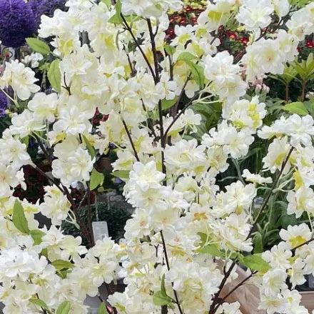 White Cherry Tree Faux 170cm