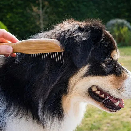 Wide Tooth Rotating Comb