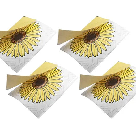Window Fly Stickers