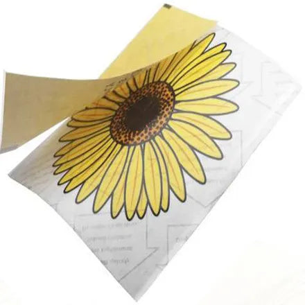 Window Fly Stickers