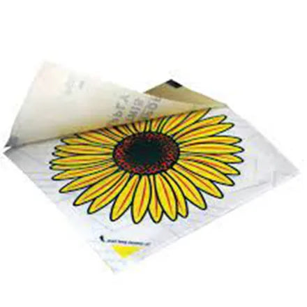Window Fly Stickers
