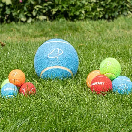 Zoon Pooch Dog Toy Tennis Balls 3 Pack