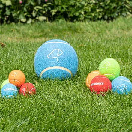 Zoon Pooch Mini Tennis Balls 4 Pack