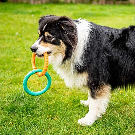 Zoon Rubber Dog Links Dog Toy