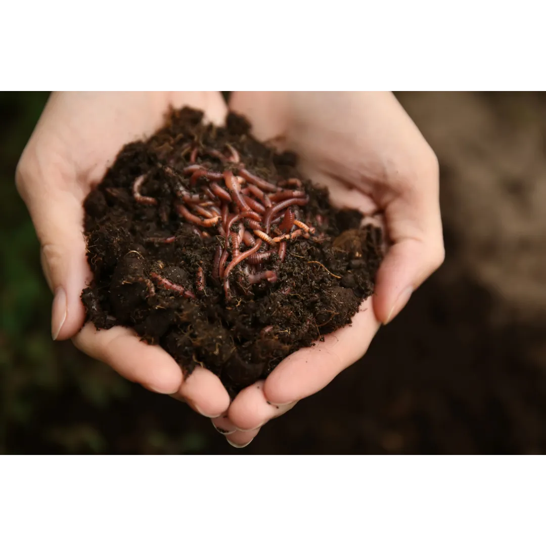 Composting with worms