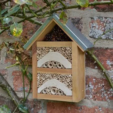 Garden Insect House