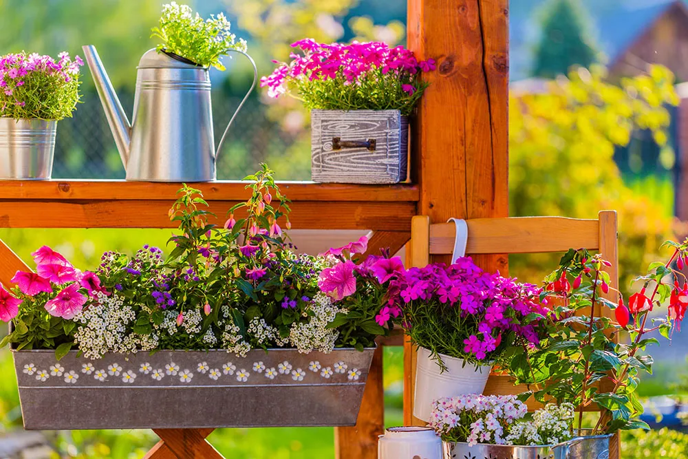 Wonderful Window Box