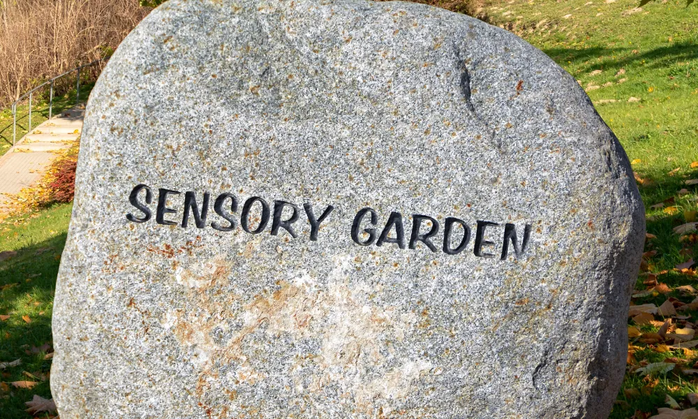 Creating your Sensory Garden.