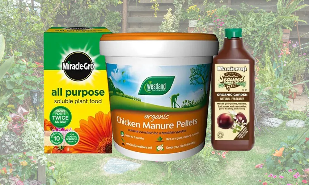 Finding and Choosing The Right Fertiliser For Your Garden