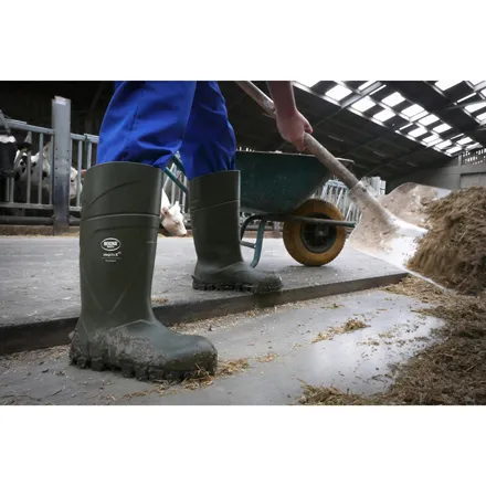 Bekina wellingtons sales
